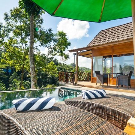 Anja Villas Ubud 德格拉朗 外观 照片