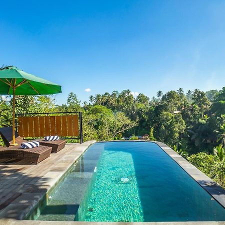 Anja Villas Ubud 德格拉朗 外观 照片
