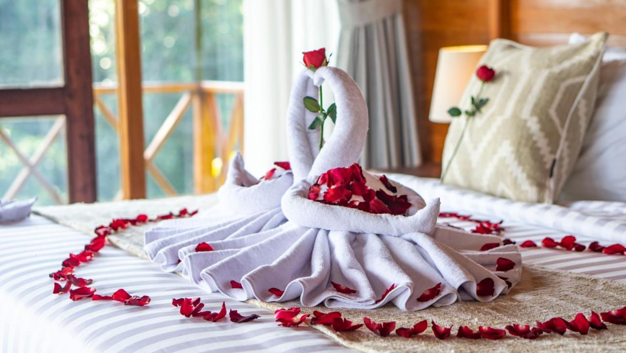 Anja Villas Ubud 德格拉朗 外观 照片
