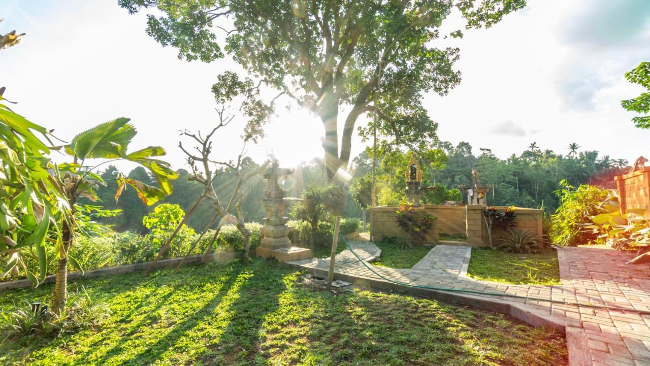 Anja Villas Ubud 德格拉朗 外观 照片