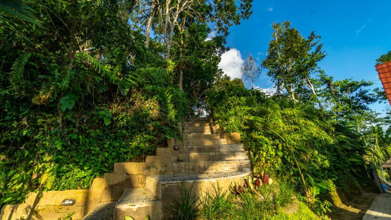 Anja Villas Ubud 德格拉朗 外观 照片